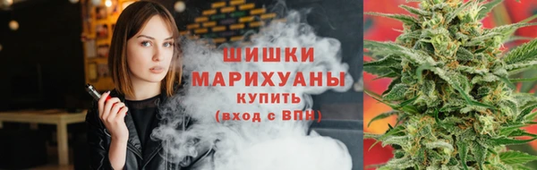 дурь Арсеньев