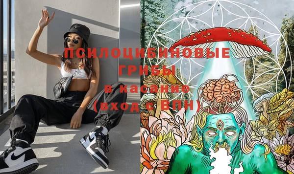 винт Протвино