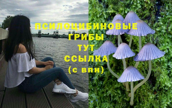 дурь Арсеньев