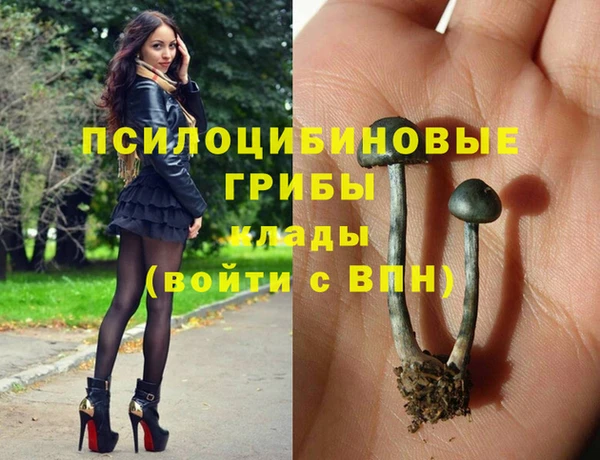 дурь Арсеньев