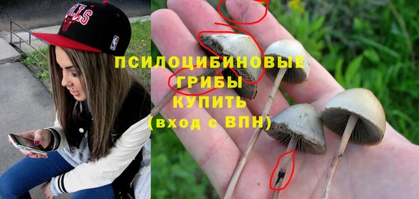 дурь Арсеньев