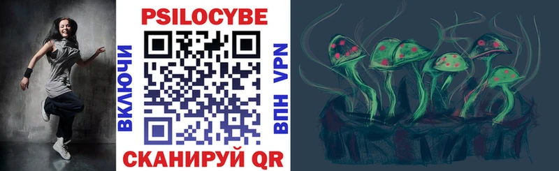 Псилоцибиновые грибы Psilocybine cubensis  Кирово-Чепецк 